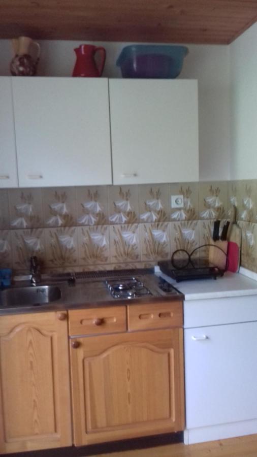 ゴレンスカ地方Apartma Podlogar Golica Triglavアパートメント エクステリア 写真