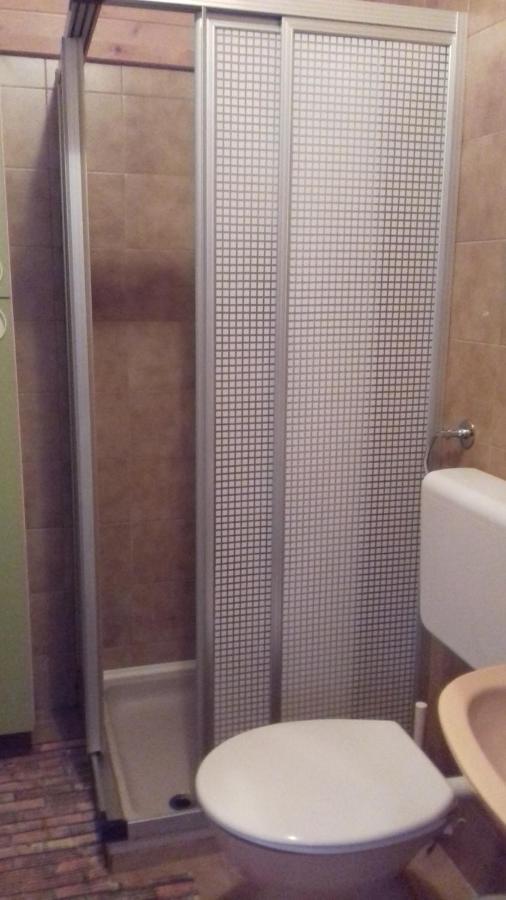 ゴレンスカ地方Apartma Podlogar Golica Triglavアパートメント エクステリア 写真
